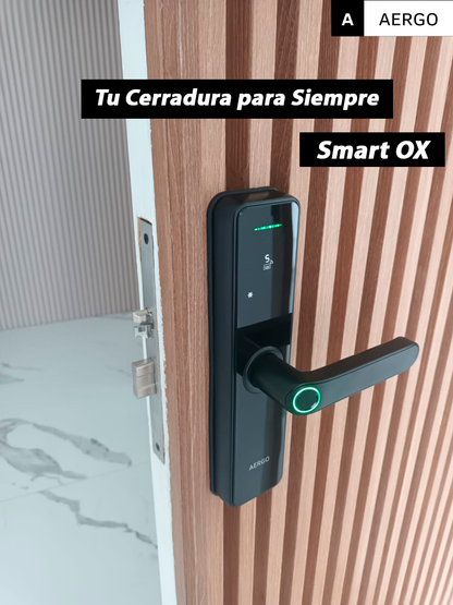 Smart OX - Interior y Exterior