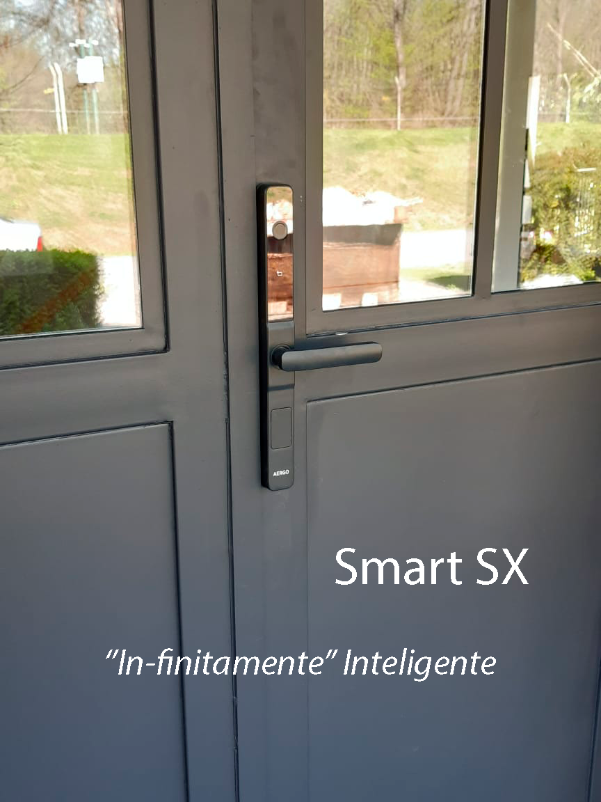 Smart SX