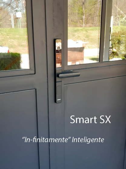 Smart SX